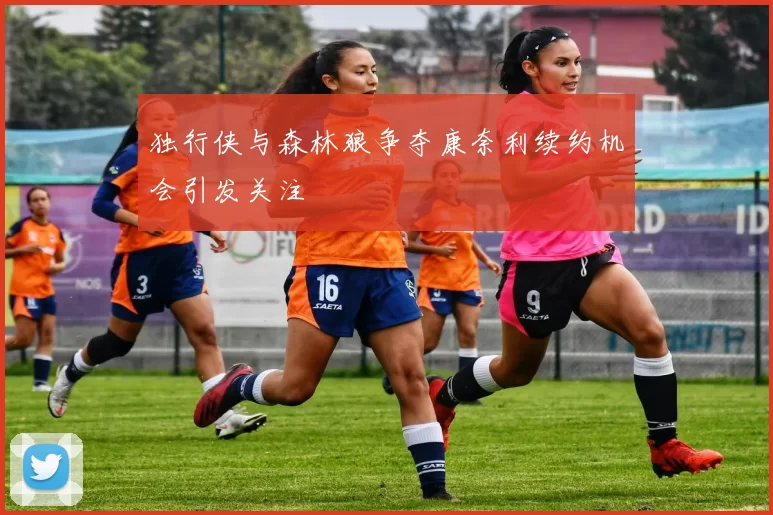 独行侠与森林狼争夺康奈利续约机会引发关注